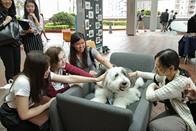 A group of student happily petting a therapy dog