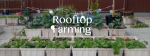 HKU Rooftop Farming Project